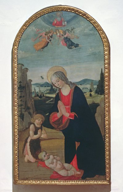 Madonna en de jonge St. Johannes de Doper die het Christuskind aanbidden door Gherardo di Giovanni